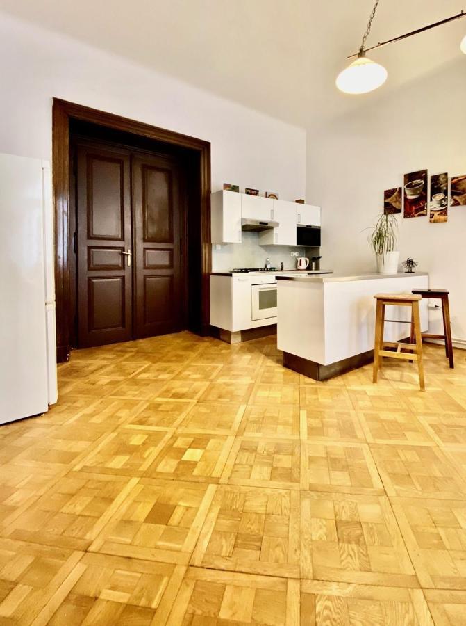 Spacious Cozy Apartments In Centre Praag Buitenkant foto