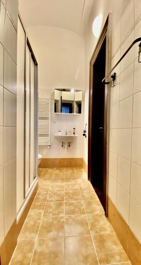 Spacious Cozy Apartments In Centre Praag Buitenkant foto